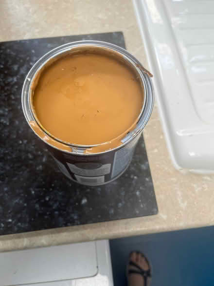 Photo of free 1ltr unused paint Matt walls and ceilings (Old Town SN1) #1