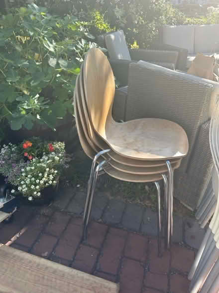 Photo of free 4 dining chairs (North Waltham) #1