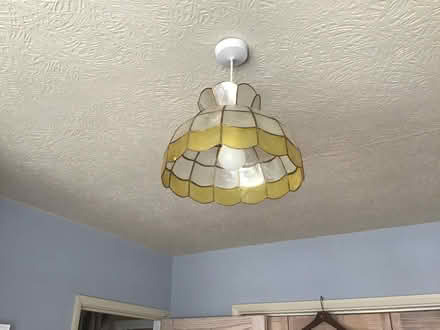 Photo of free Tortoise shell pendant ceiling light shades (Tolworth KT5) #2