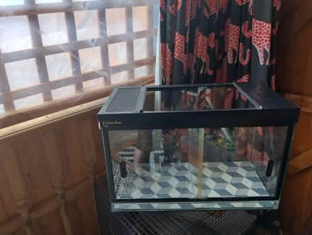 Photo of free Glass vivarium (Lanesfield WV4) #2