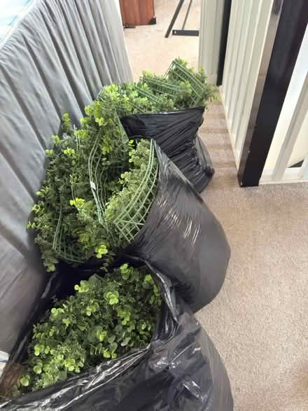 Photo of free Artificial grass (CV3) #3