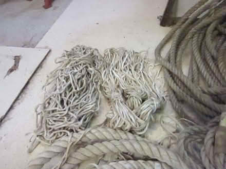 Photo of free large pile of rope (Morton NR9) #4