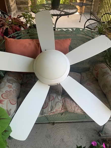 Photo of free Modern ceiling fan in Mt Airy (W Mt Airy) #1