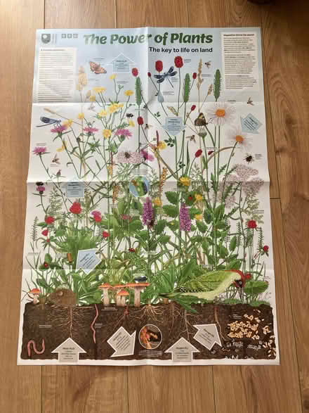 Photo of free Large educational poster (Popley RG24) #1