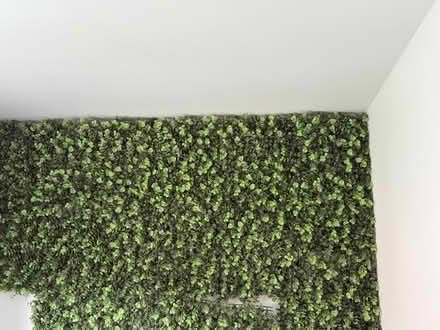 Photo of free Artificial grass (CV3) #1