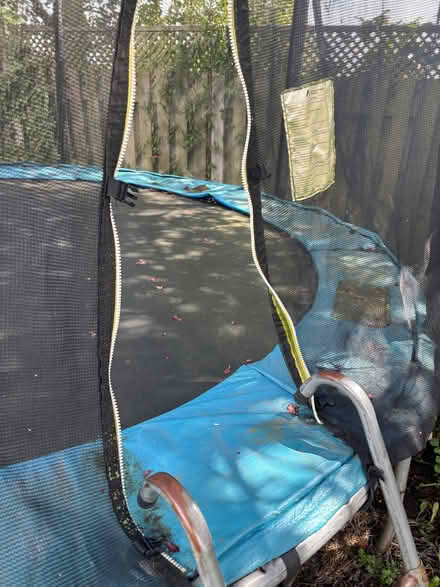Photo of free Large (10ft) trampoline in good working condition order (Broomhill S10) #2