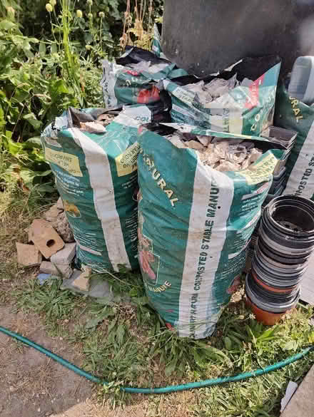 Photo of free Clean oyster shells (Mortlake W4) #2