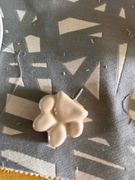 Photo of free Paw drawer knob (EH4 Craigleith) #1