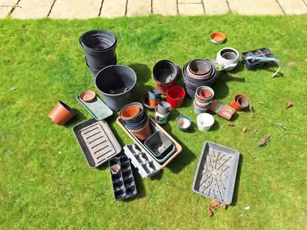 Photo of free Plant pots job lot (GU10) #1