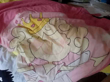 Photo of free Princess sleeping bag (Mousehold NR3) #1