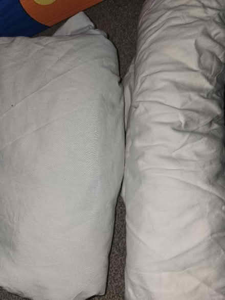 Photo of free Double sheets (Gay Village M1) #1