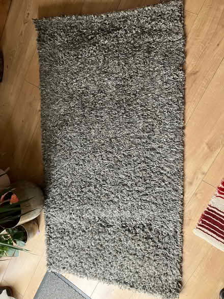 Photo of free Rug - collection pending (Popley RG24) #1