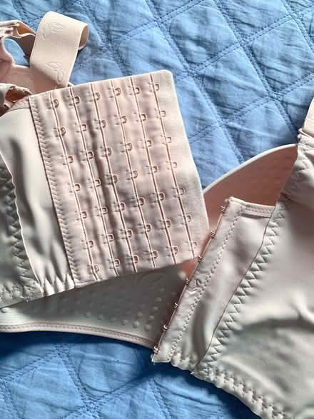 Photo of free Long line bra, wide straps, soft pink (Fleetwood FY7) #3