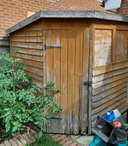 Photo of free 6 x 5 wooden shed (Woodley RG5) #2