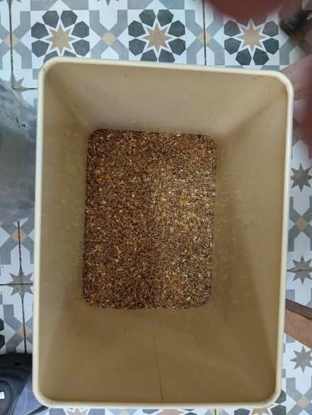 Photo of free Parrot and Chicken seed (New England) #2