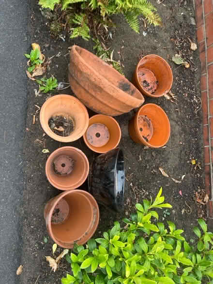 Photo of free Terracotta pots (Gu50ay) #1