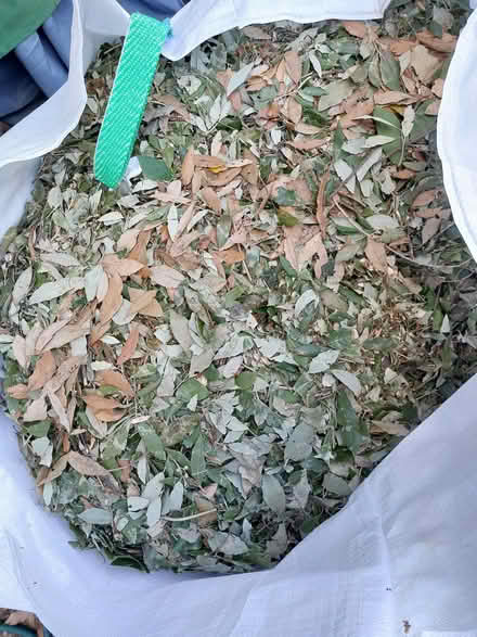 Photo of free Shreddings (Havant PO9) #1