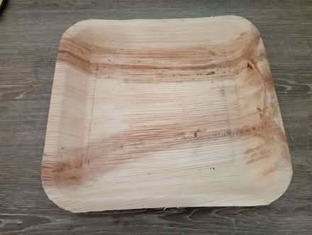 Photo of free Party / BBQ plates - 60 Palm Leaf plates - recyclable (Letchworth SG6) #1
