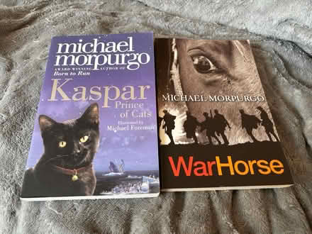 Photo of free Teen books (BS3 bedminster) #1