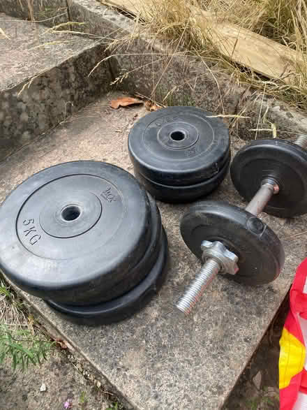 Photo of free Weights (Bloomfield) #1