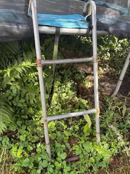 Photo of free Large (10ft) trampoline in good working condition order (Broomhill S10) #4