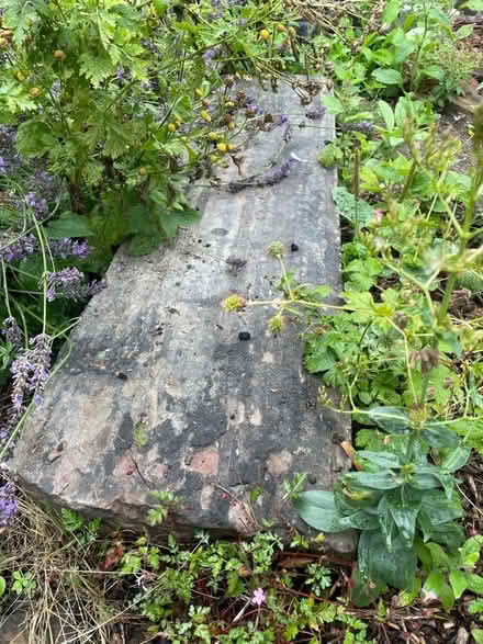 Photo of free Stone steps (Greystones S11) #3