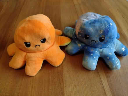 Photo of free 2 reversible happy/sad soft toys (Brincliffe Edge S7) #2