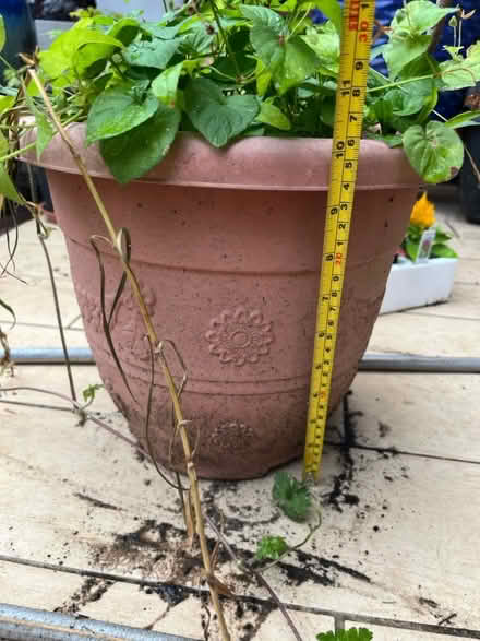 Photo of free 10-15 assorted Plant pots (N6 Highgate High Street) #3