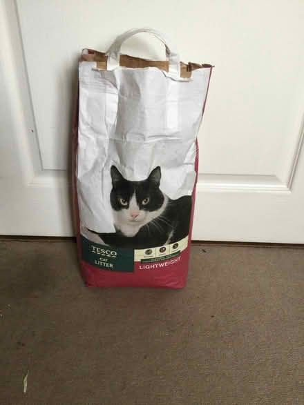 Photo of free Tesco cat litter (Lower Swell GL54) #1