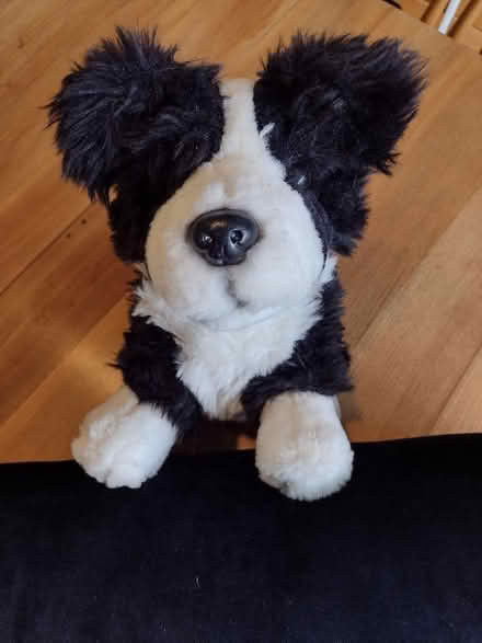 Photo of free Dog toy door stop (Brincliffe Edge S7) #2