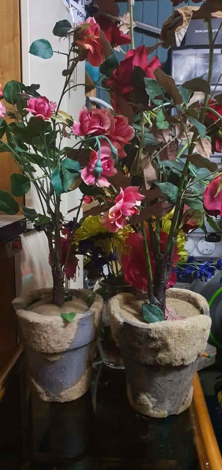Photo of free Artificial plants (Heaton Mersey SK4) #1