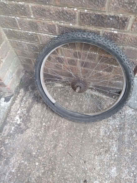 Photo of free Bike wheel (Langney BN23) #1