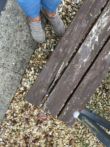 Photo of free Wood (Gobowen SY11) #3