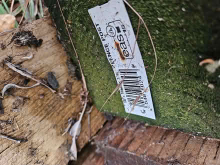 Photo of free 8 pressure treated 2.1m fence posts (West Norwood SE27) #2