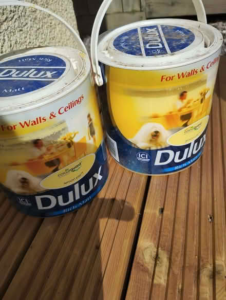 Photo of free Paint. (Edginswell TQ2) #1