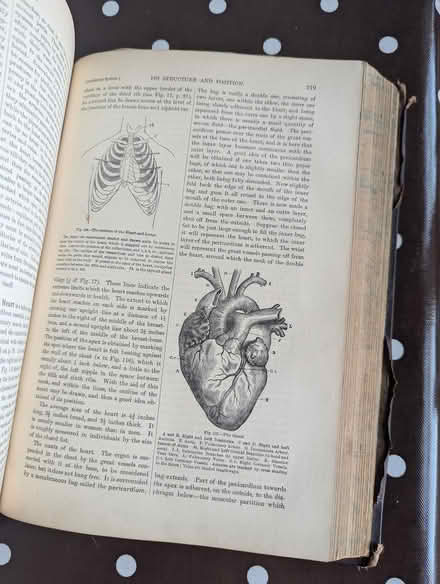 Photo of free Antique medical book (Rowlands Gill NE39) #4