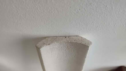 Photo of free Polystyrene coving (Tufnell Park N7) #2