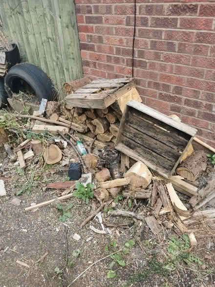 Photo of free Logs and wood. Various sizes (Leominster HR6) #3