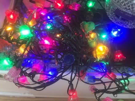 Photo of free Christmas lights (South oxhey WD19) #1