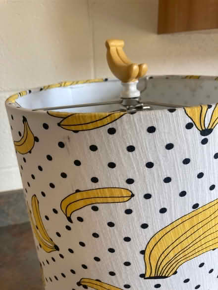 Photo of free Monkey Lamp (Scaggsville) #4