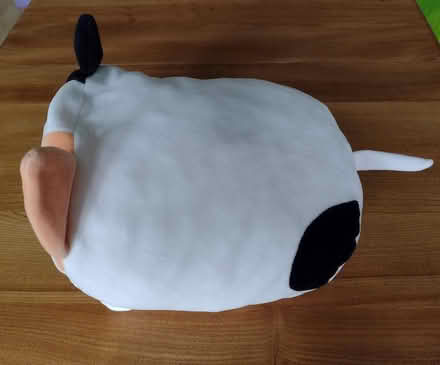 Photo of free Cat toy squishy cushion (Brincliffe Edge S7) #4