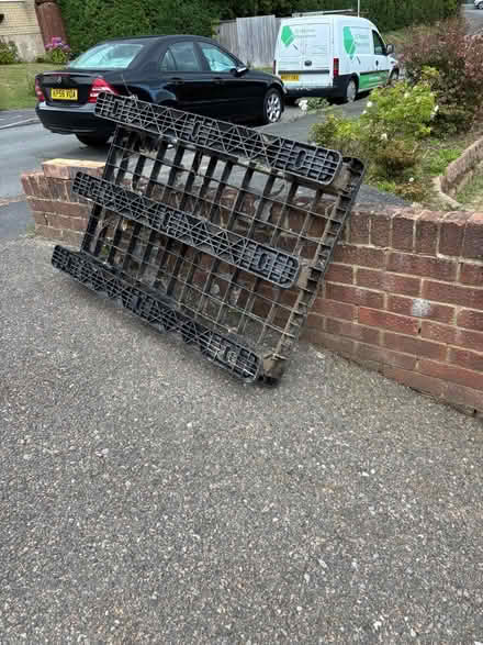 Photo of free Plastic pallet (hastings TN34) #1