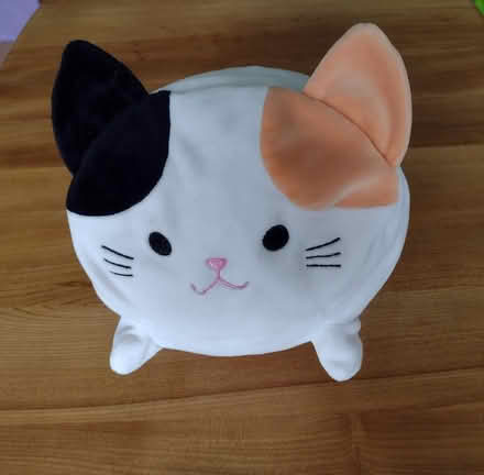 Photo of free Cat toy squishy cushion (Brincliffe Edge S7) #1