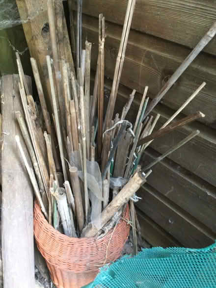 Photo of free Garden netting for keeping pests off (Westbury on Trym BS9) #2