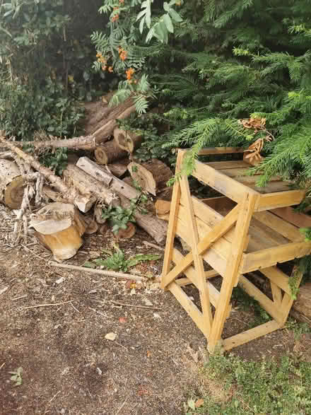 Photo of free Logs and wood. Various sizes (Leominster HR6) #4