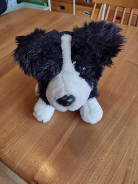 Photo of free Dog toy door stop (Brincliffe Edge S7) #1