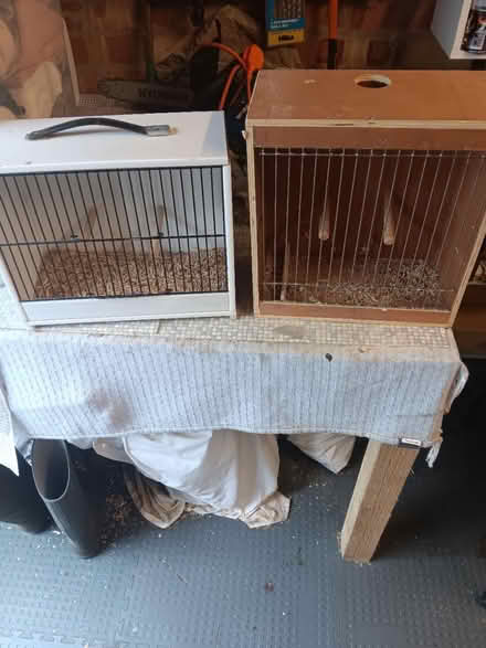 Photo of free 2 bird carriers (Wollaton ng8) #1
