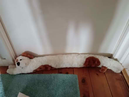 Photo of free Doggy draught excluder, excellent condition (The Rock TF3) #1