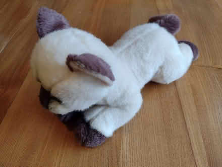 Photo of free Soft toy cat (Brincliffe Edge S7) #2