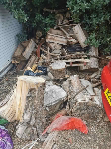 Photo of free Logs and wood. Various sizes (Leominster HR6) #1